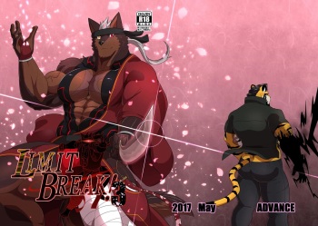 LIMIT BREAK! 3 cover