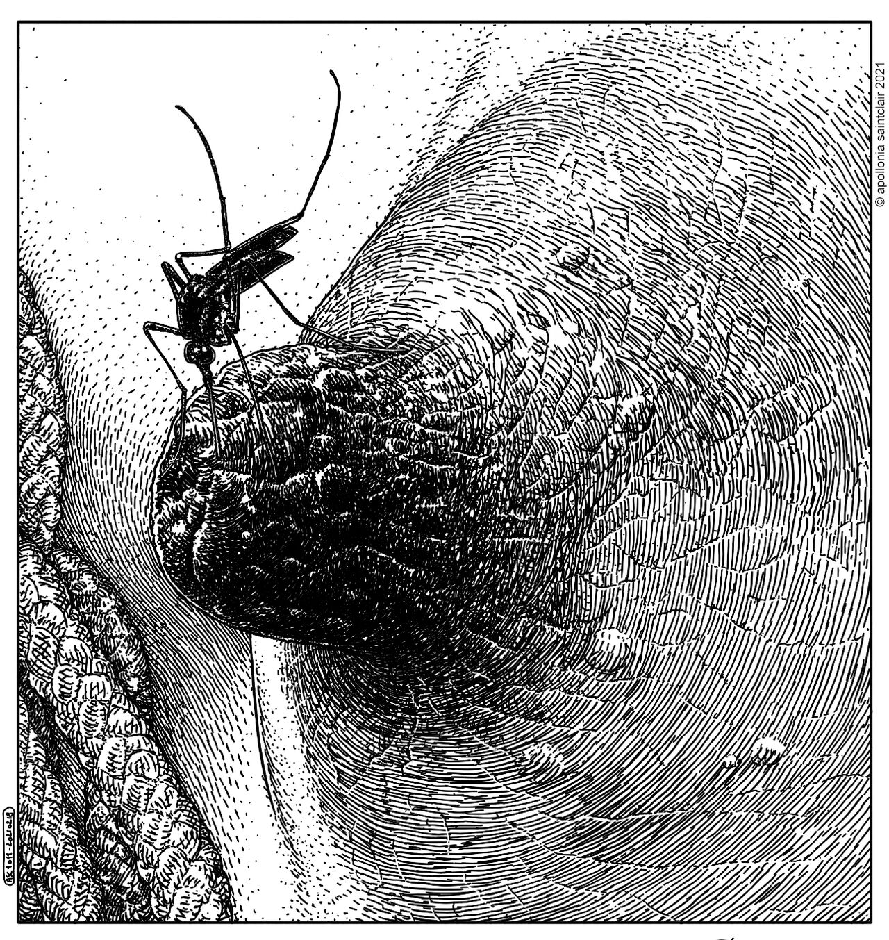 Apollonia Saintclair page 2 full