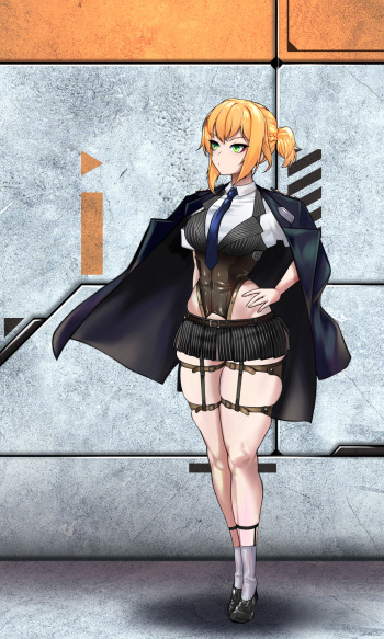 Welrod cover