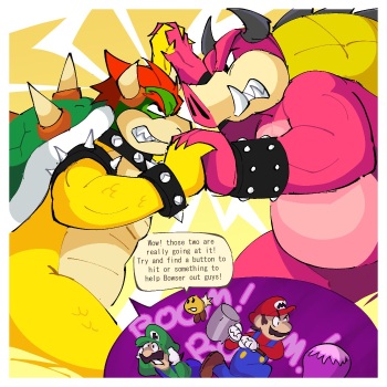 Inside Bowser Story cover