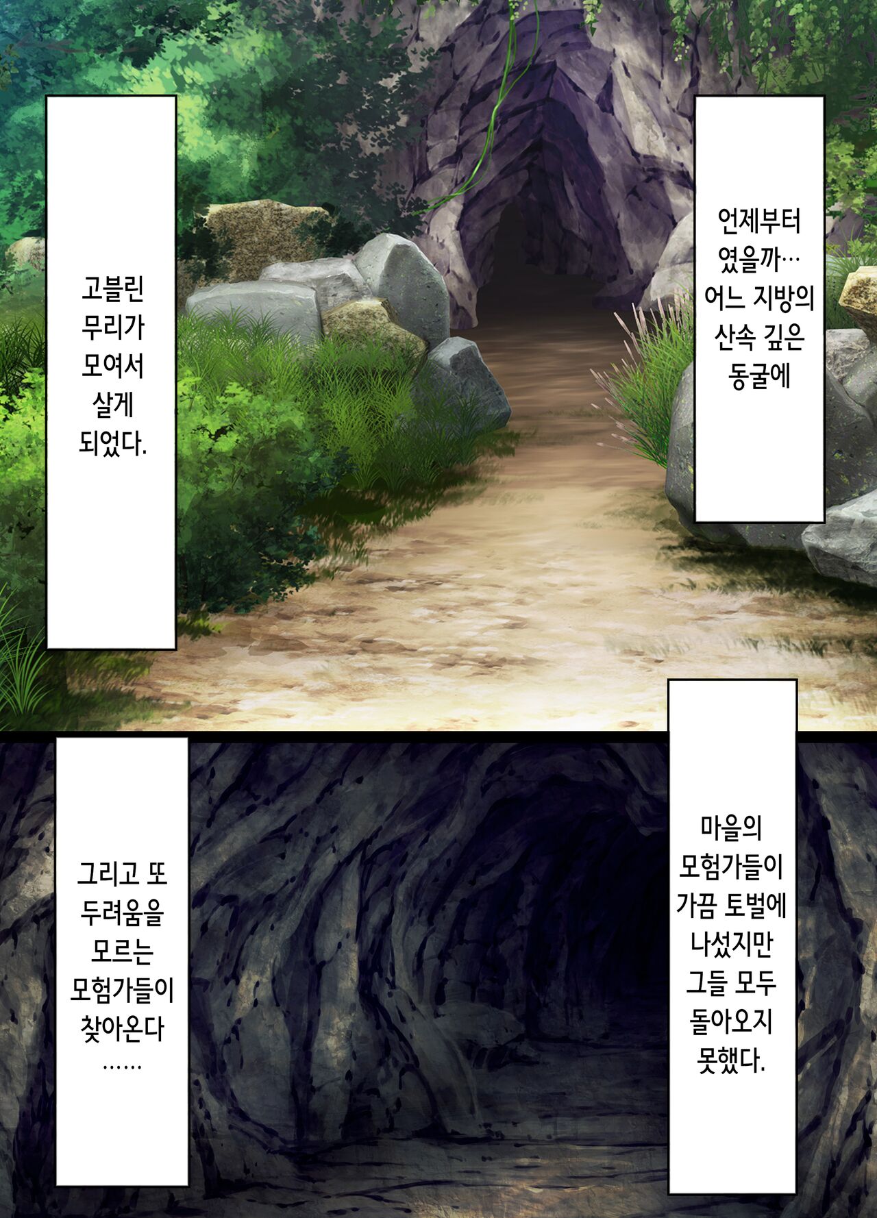 Goblin's Slave ~Reizoku Sennou de Goblin no Geboku ni Ochiru Mesu Boukensha-tachi~ | 고블린즈 슬레이브 ~노예 세뇌로 고블린의 부하가 되어버린 암컷 모험가들~ page 3 full