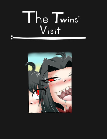 The Twins' Visit cover