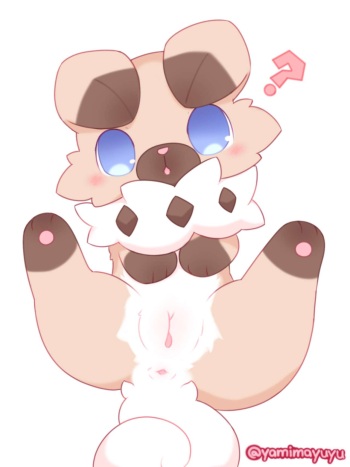 Rockruff cover