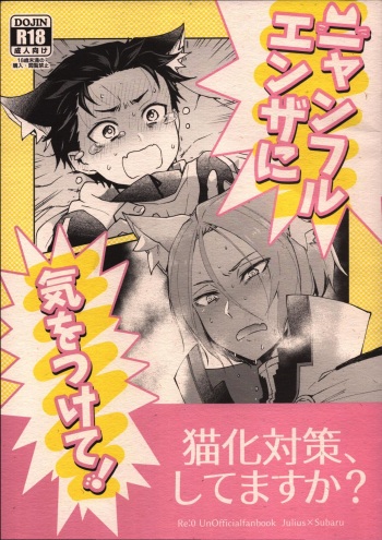 Nyan-fluenza ni Ki o Tsukete! cover