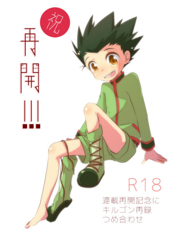 KilluaGon Sairoku Tsumeawase cover