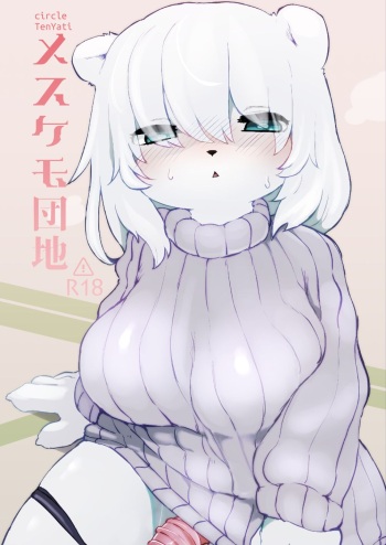 Mesukemo Danchi cover