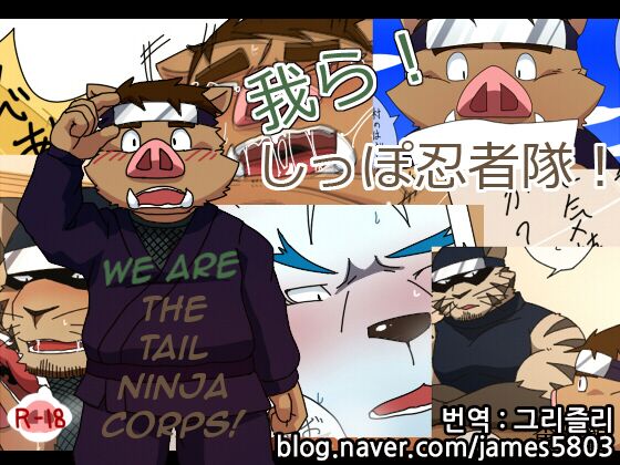 Warera! Shippo Ninja Tai! -Bangai Hen- | We Are The Tail Ninja Corps! page 1 full