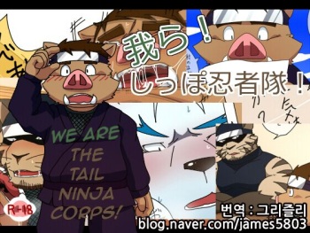 Warera! Shippo Ninja Tai! -Bangai Hen- | We Are The Tail Ninja Corps! cover