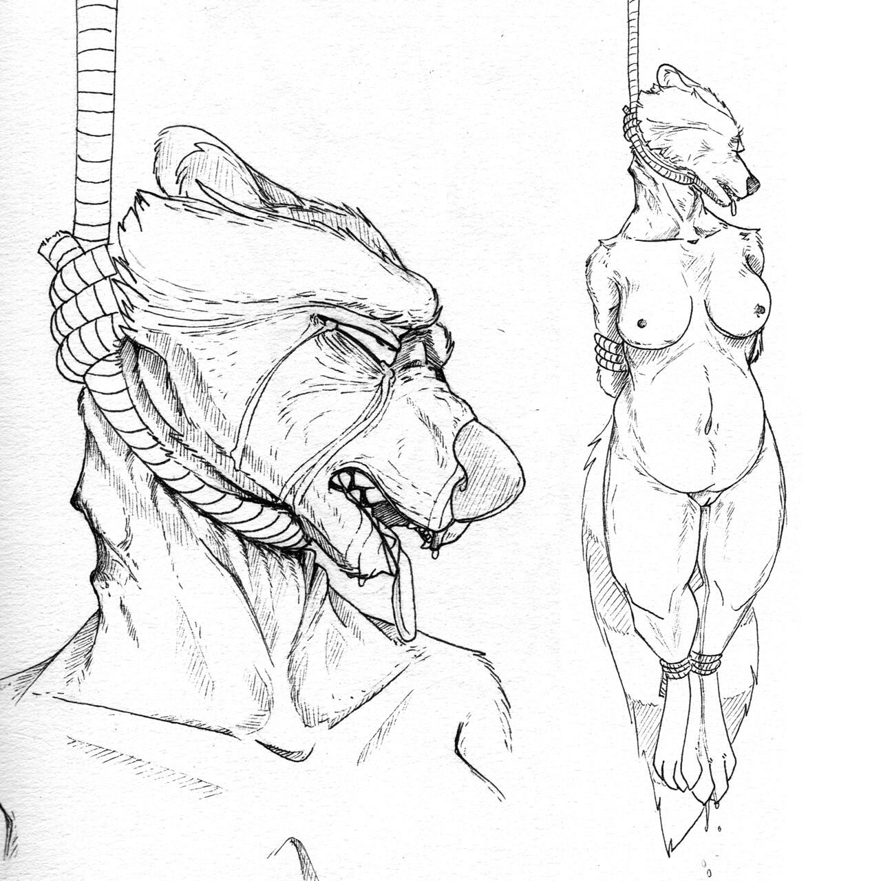 wekesa archive page 10 full