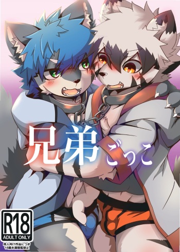Kyoudai Gokko cover