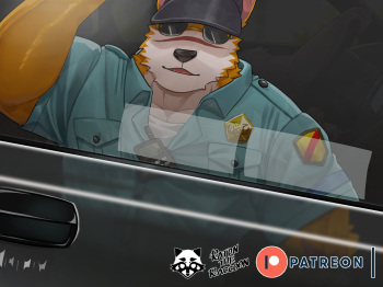 No Parking cover