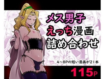 Mesu Danshi Ecchi Manga Tsumeawase cover