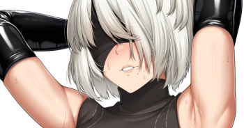 ２B cover