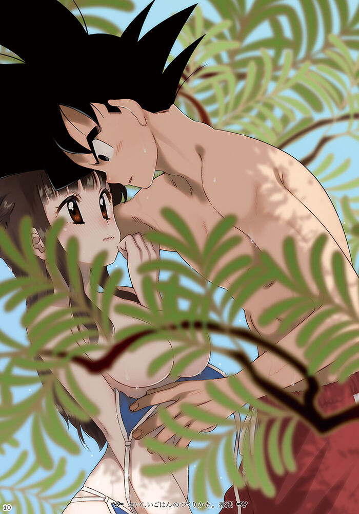 GO!!! CHiCHi Son Goku x Chi Chi Sairokushuu page 3 full