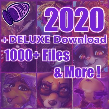 DWD-2020 Deluxe+ cover