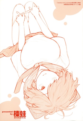 Omochikaeri Toranoana Gentei Kounyu Tokuten Leaflet Shoki Settei Shiryoushuu Tabegoro Hen cover