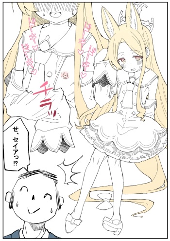 Seia Renshuu cover