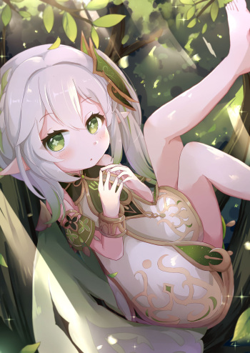 Nahida cover