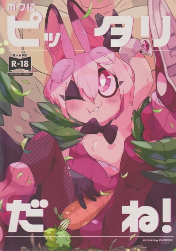 Boku ni Pittari da ne! - BOKUPITA! cover