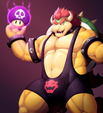 Bowser cover