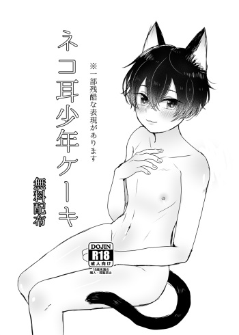 Nekomimi Shounen Cake cover