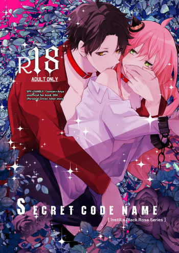 SECRET CODE NAME cover