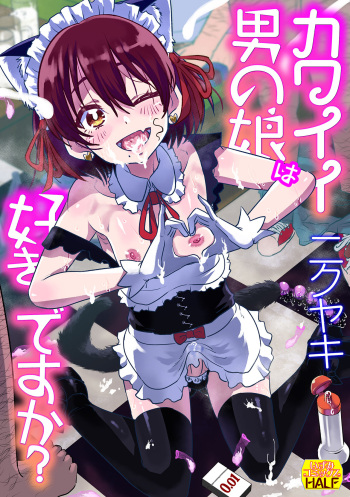 Kawaii Otokonoko wa Suki Desuka? cover