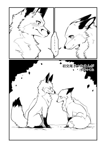 Hatsu Koubi Kitsune Manga cover