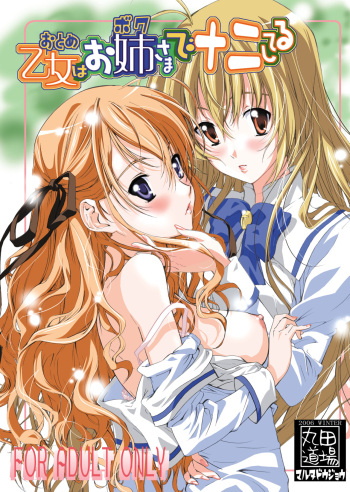 Otome wa Boku de Nani Shiteru cover