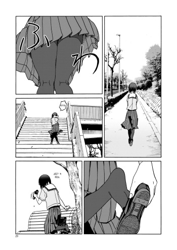 PanSto to Tights to Ashi to Ashi cover