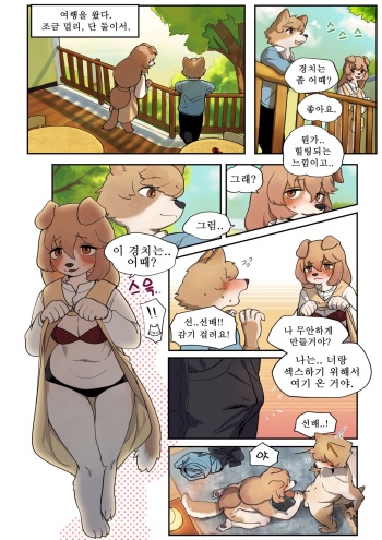 Senpai cover