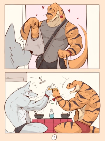 Dinner cover