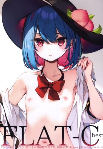 FLAT-Chest cover