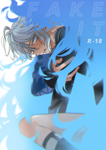 FAKE IT cover