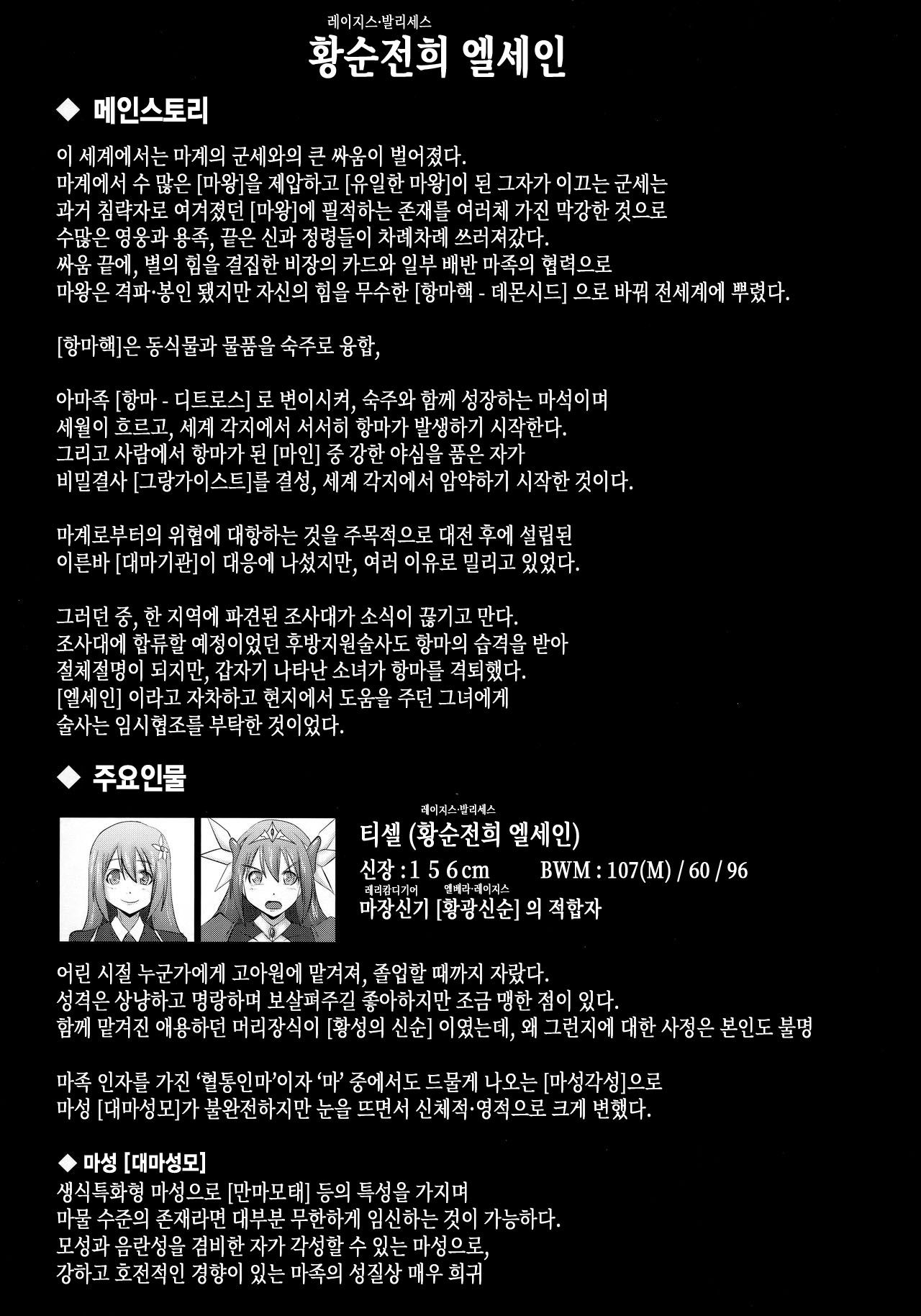 Raygis Valicess Elsain "VANQUISHED SHIELD" | 황순전희 엘세인 "부서져버린 사람들의 방패" page 2 full