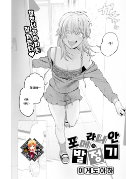Pomeranian to Hatsujouki | 포메라니안과 발정기