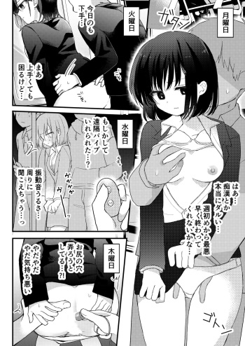 Densha Chikan Manga cover