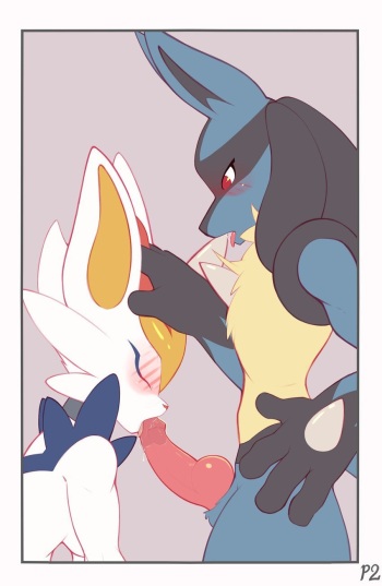 Lucario Male/Female Collection cover