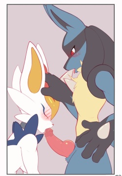 Lucario Male/Female Collection