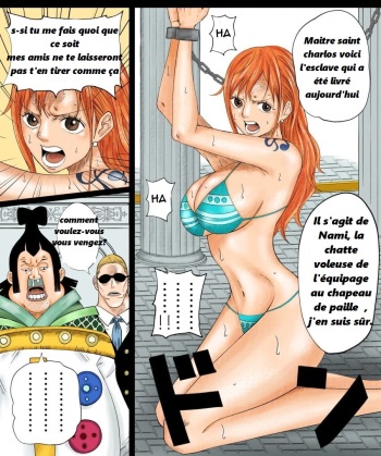 Nami-san Manga  French cover