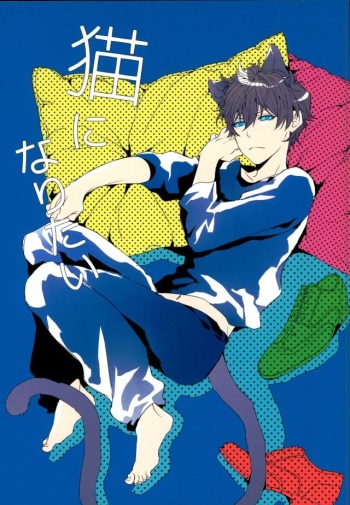 Neko ni Naritai cover