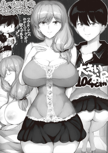 Toshiue Onee-san ni Yoru Shitsukekata cover