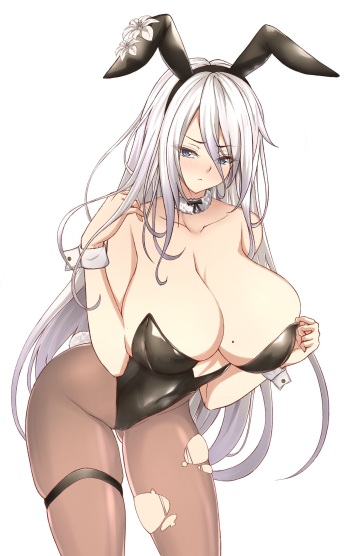 ●PIXIV● 孟白 cover