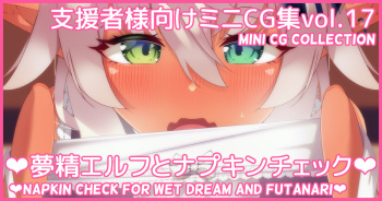 Mini CG-shuu Vol.17 "Musei Elf to Napkin Check" | Mini CG collection Vol.17 "Napkin check for wet dream and futanari" cover