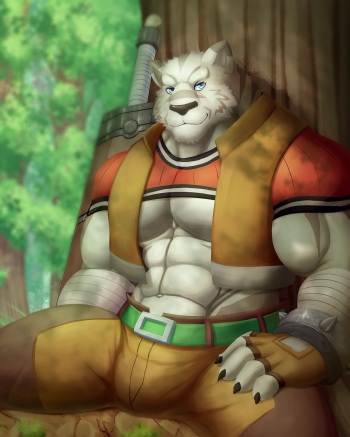Mercenary cover
