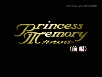 Princess Memory cover