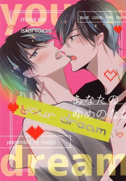yor dream