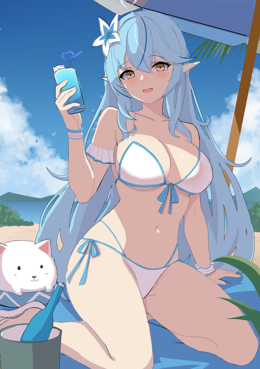 VoCoCo page 5 full
