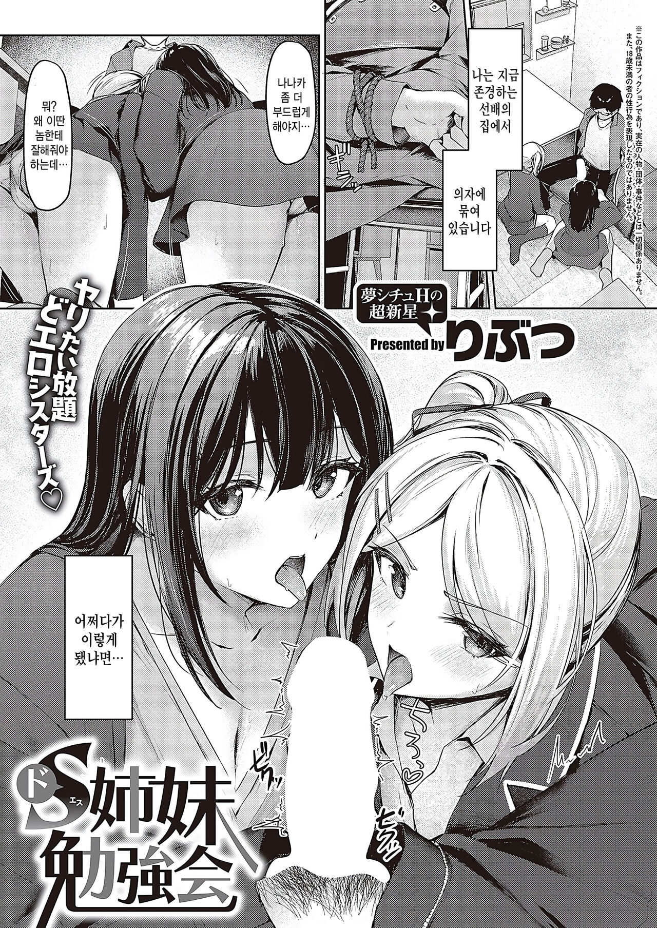 Do-S Shimai Benkyoukai page 1 full