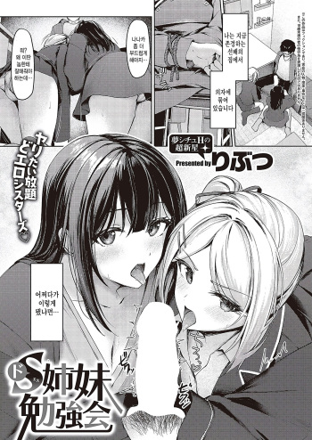 Do-S Shimai Benkyoukai cover